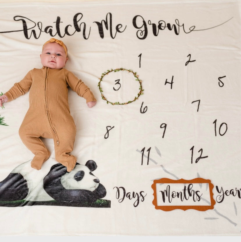 Neutral collection Baby monthly Milestone Blanket 47x47