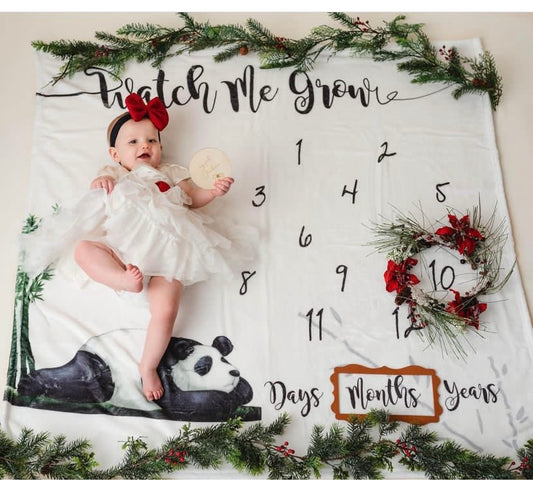 Christmas collection Baby Milestone Blanket  47x47